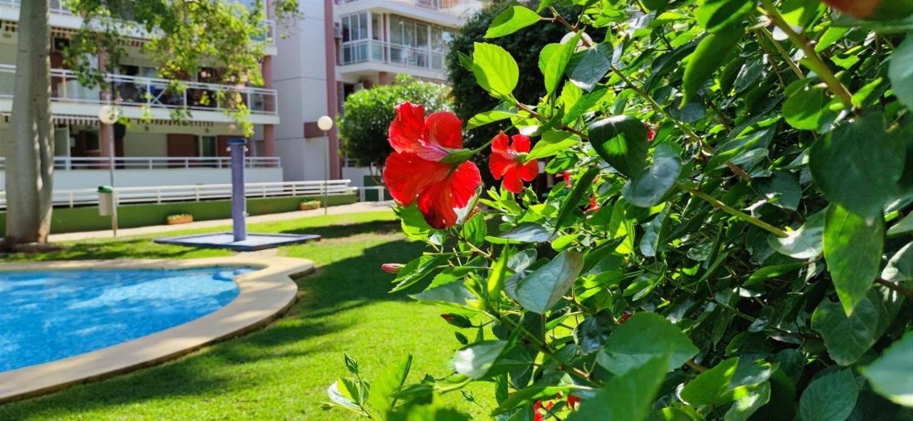 Apartamento Dianium By Denia Costa מראה חיצוני תמונה